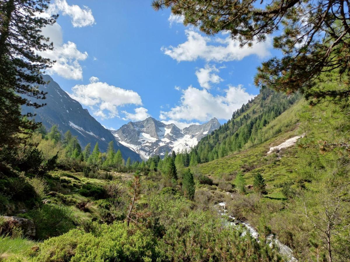 Appartement Summerer Peter Mayrhofen Esterno foto